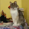 Отзыв от Арина Королева